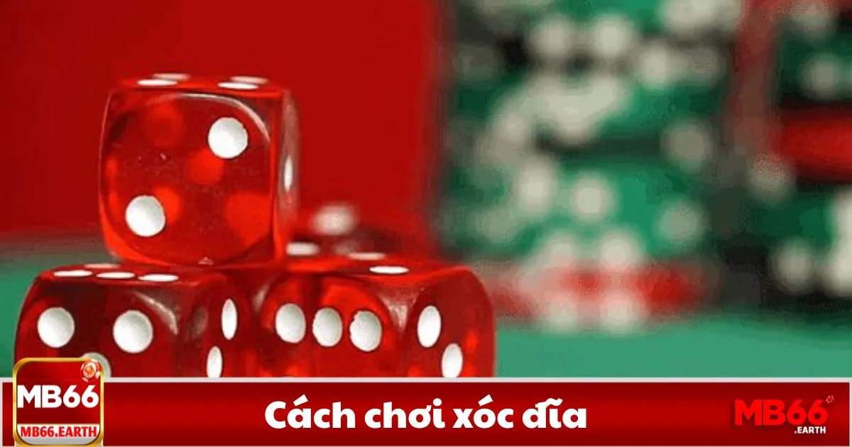 Xóc đĩa là gì? Luật chơi cơ bản cho người mới