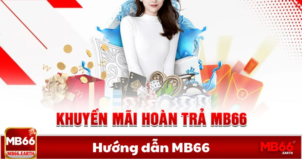 Hướng Dẫn Cơ Bản Dành Cho Người Mới Bắt Đầu
