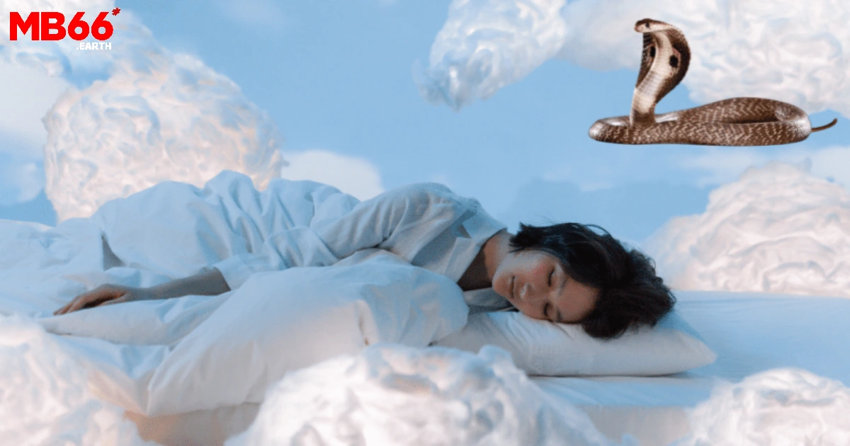 Thông điệp ẩn sau giấc chiêm bao nằm mơ thấy rắn