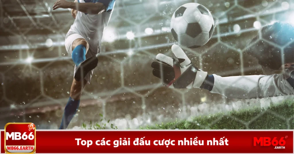 Top Các Giải Đấu Cược Nhiều Nhất Ngay Tại Nhà Cái MB66 1 Top Các Giải Đấu Cược Nhiều Nhất Ngay Tại Nhà Cái MB66